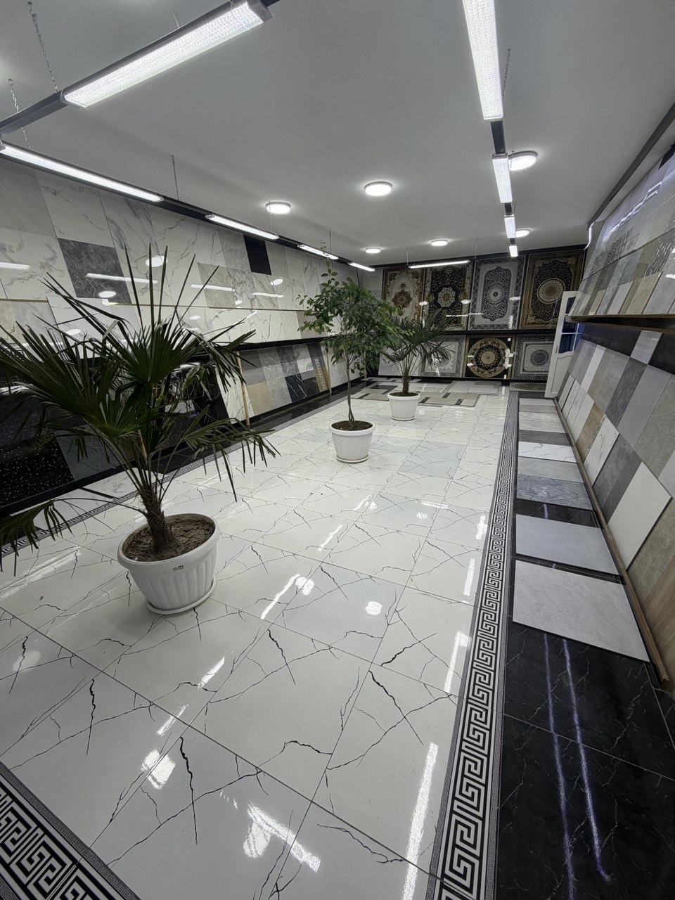Kafel showroom
